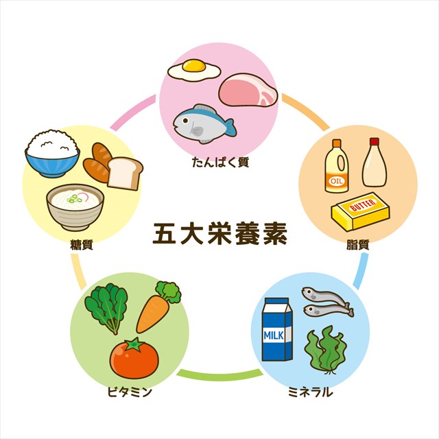 5大栄養素